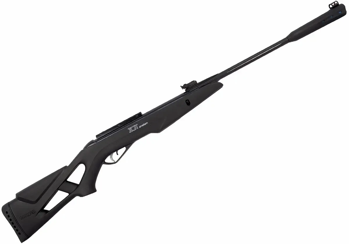 Carabina Pressão Chumbinho Espingarda Gamo Whisper Igt 5.5mm Preto 5.5 Mm