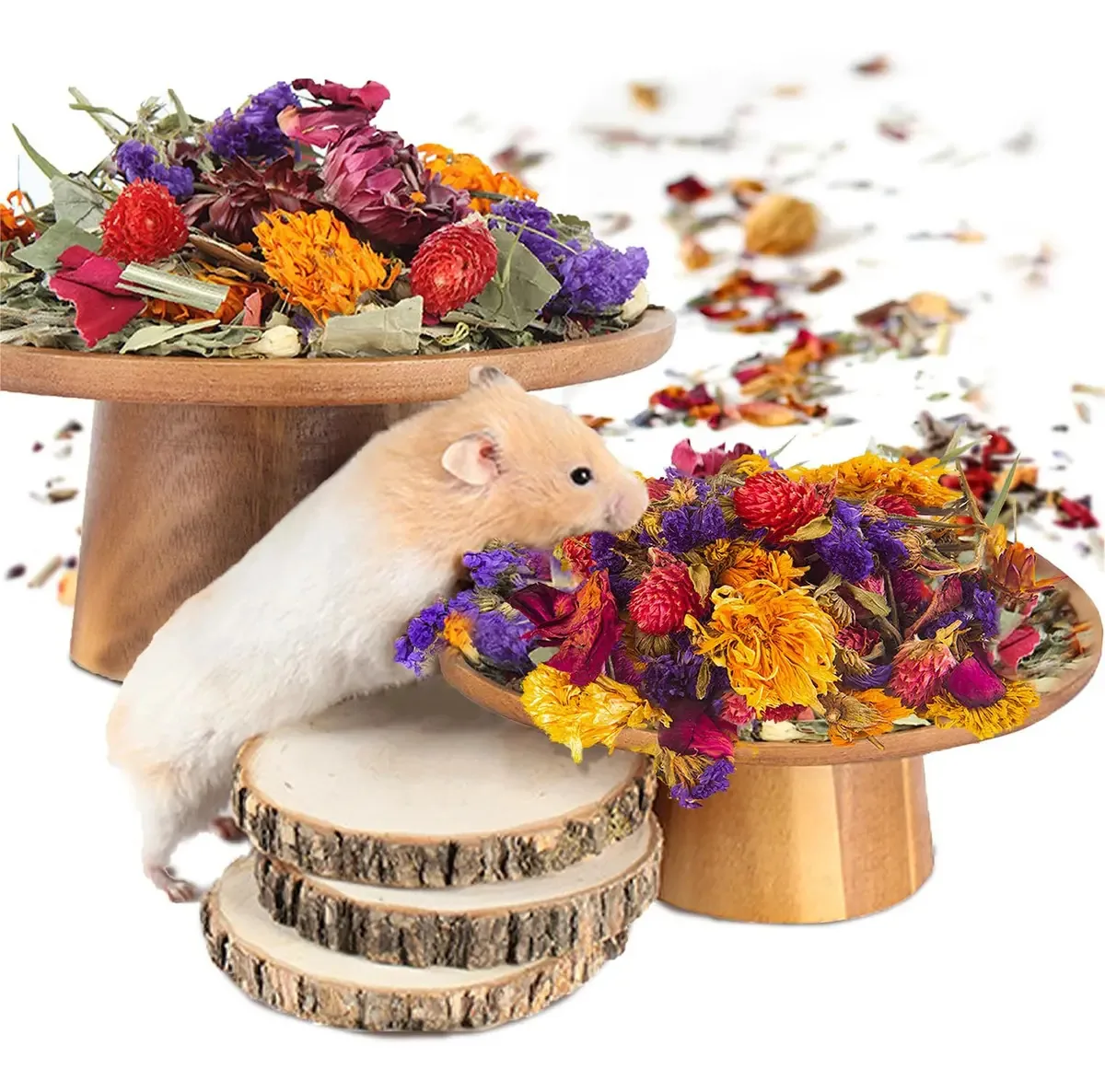 Decorações naturais para hamsters: brinquedos e cores para