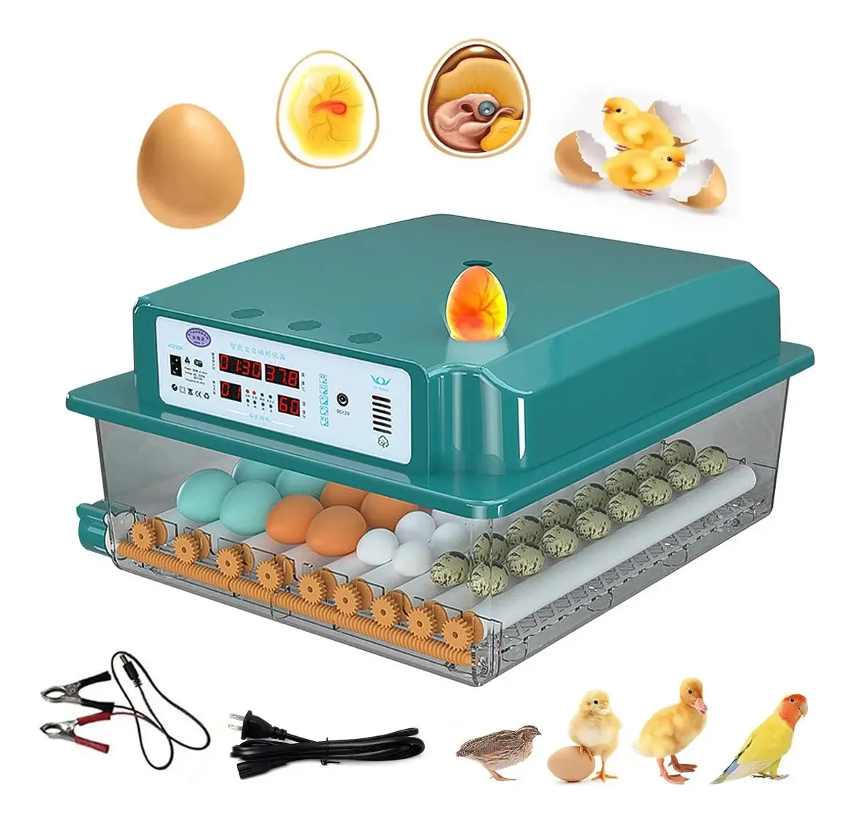 Incubadora automática de 64 ovos para frangos e aves