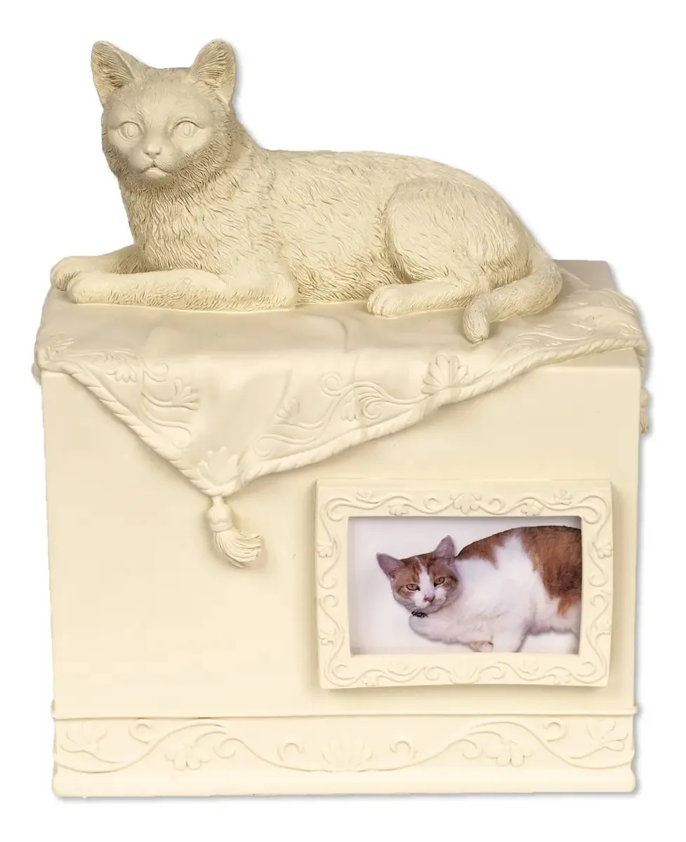 Angel Star Comfy Hour - Urna de Porcelana para Gato de 7,75 Polegadas, Marrom, Coleção Memórias Afetuosas