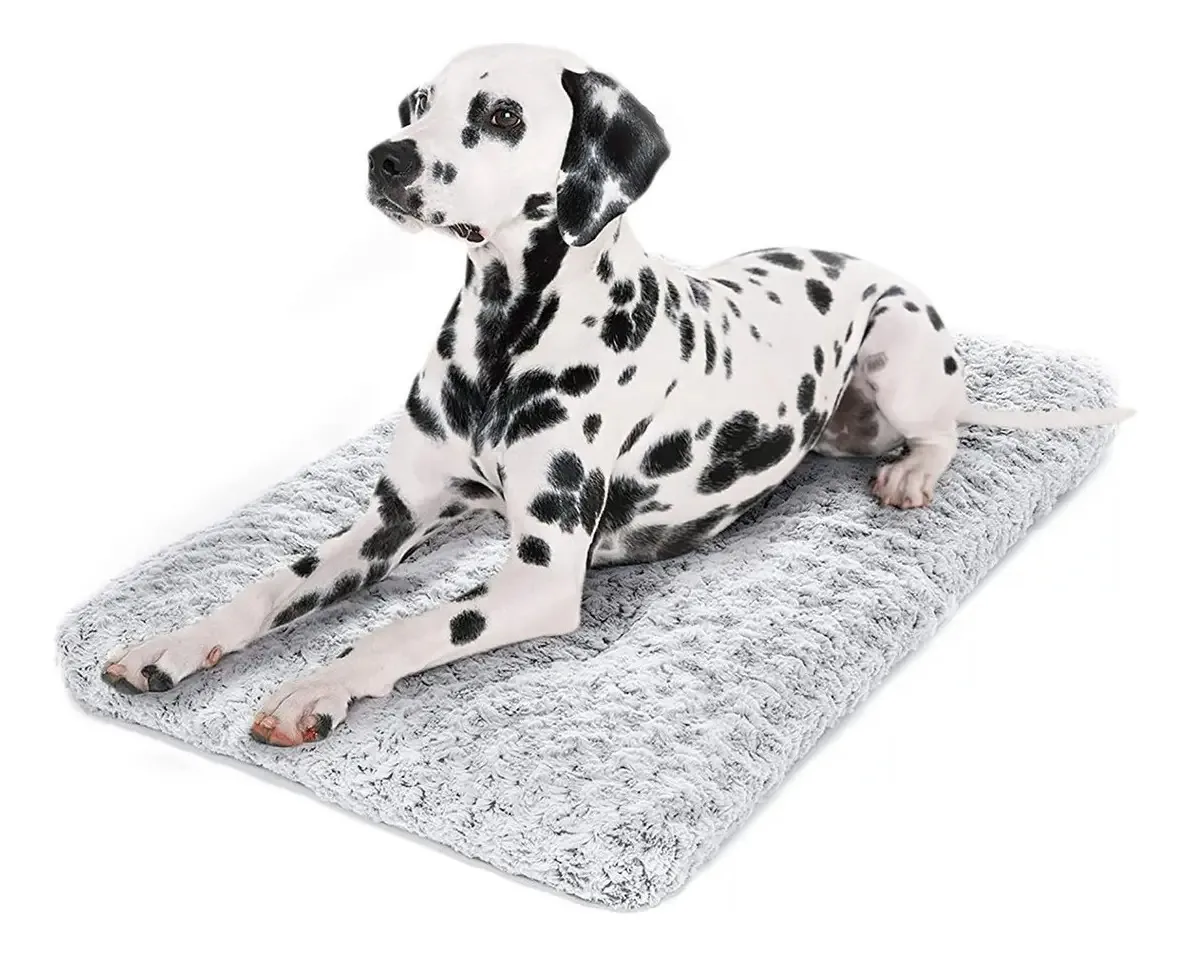 Mixjoy - Tapete antiderrapante para cães e gatos