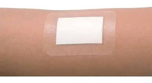 Apositivo Transparente Com Gaze 8x10cm (leukomed T Plus) 10un