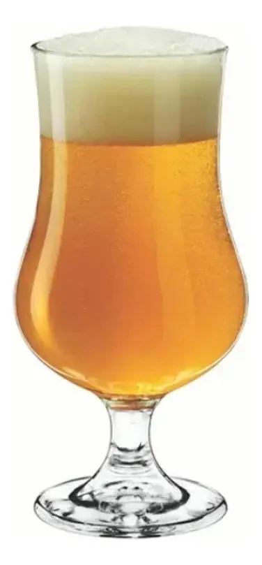 Jogo 6 Taças Cerveja Vidro 420ml