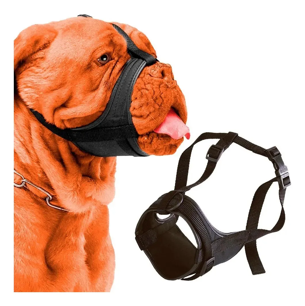 Focinheira Safe Boxer Ferplast