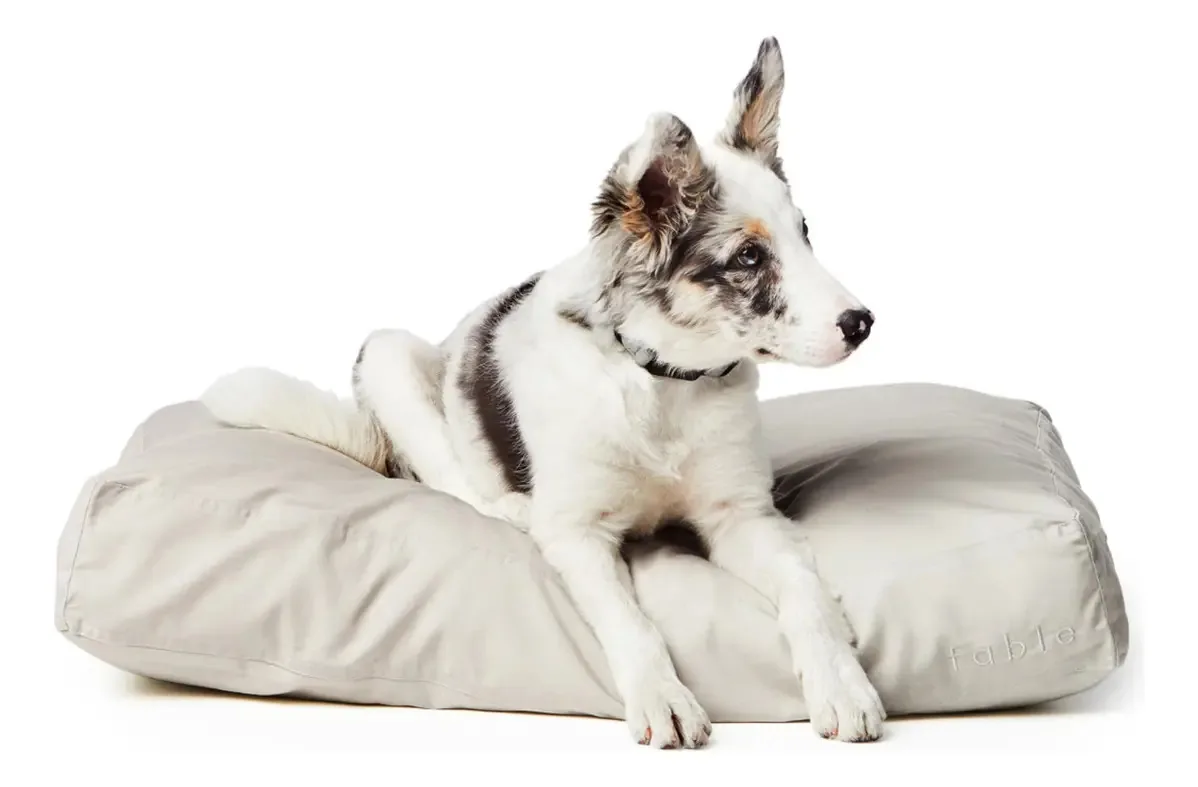 Cama para cães Fable Cama para cães com design extra macio