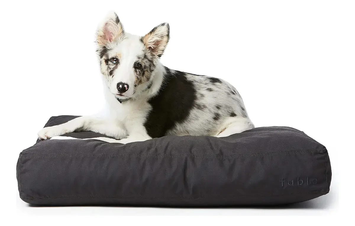 Cama para cães Fable Cama para cães com design extra macio