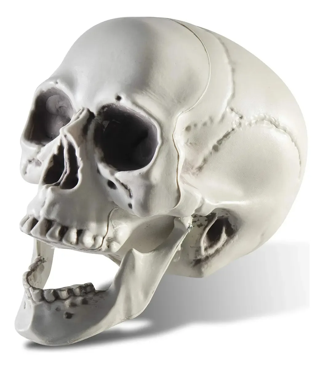 Decoração de Halloween Prextex Pla Skull Head