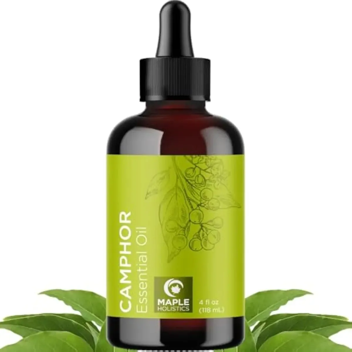 Óleo essencial de cânfora - aromaterapia pura e natural