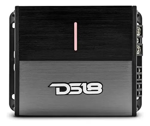 Ds18 Ion1000.4d