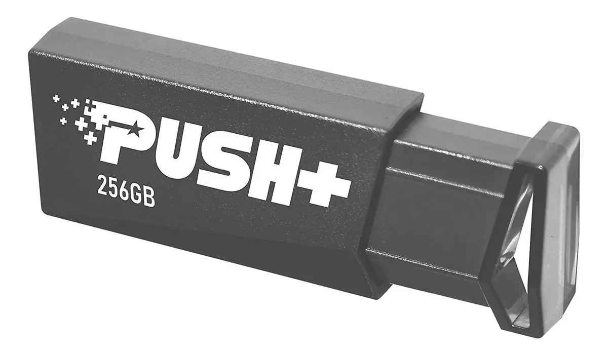 Pen Drive Patriot 256gb Push+ Usb 3.2 Gen. 1 Psf256gpshb32u