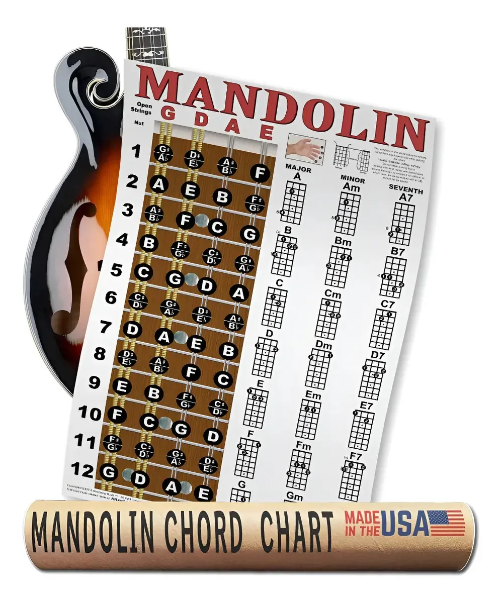 Bandolim Classic Style Easy Chord & Fretboard - Poster Ins. Cor clássica - 11x17