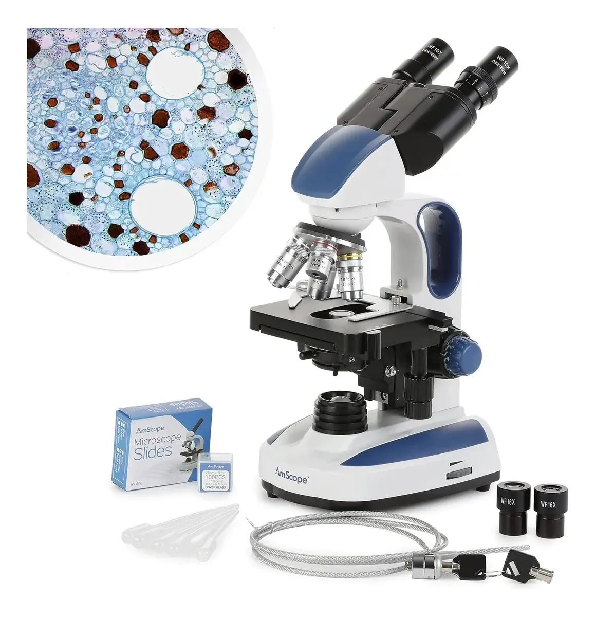 Amscope - Microscópio composto avançado para estudantes e cor branca
