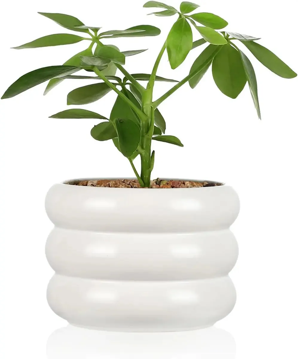 Decoração de vasos de cerâmica para plantas de interior ou exterior brancas
