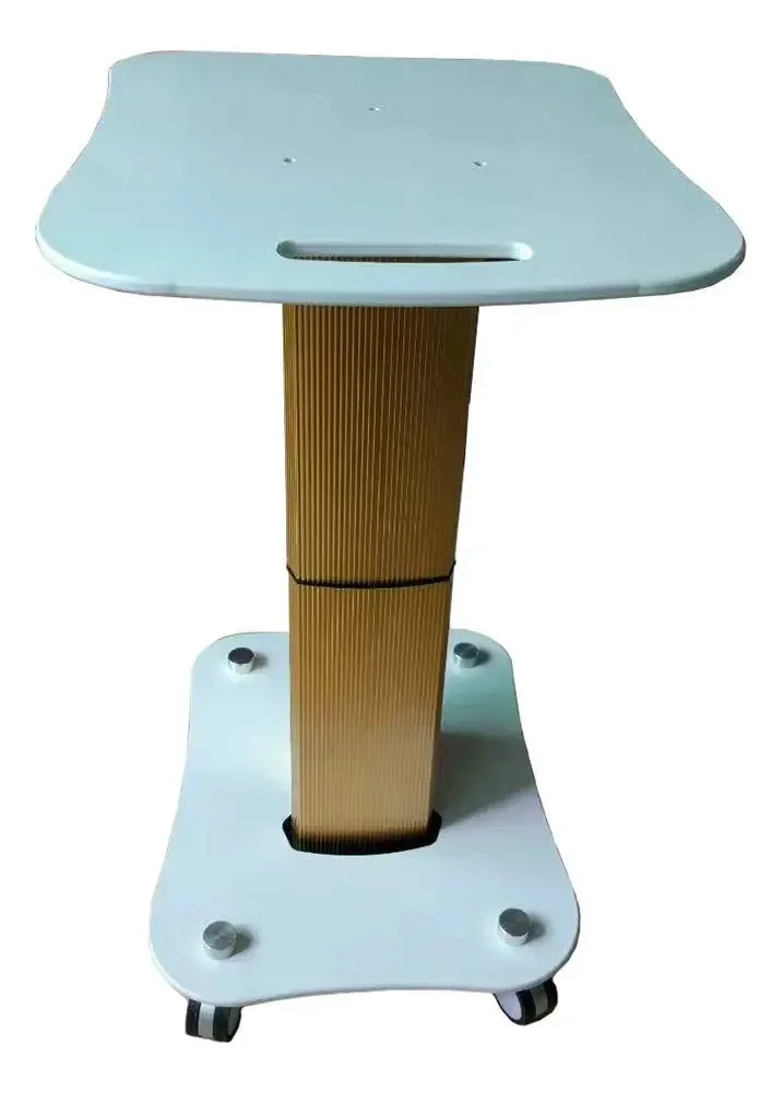 Carrinhos de Mão de Armazenamento Aunevn, Carrinhos de Cozinha Móveis, Salão de Beleza com Rodas e Alça, Carrinho Portátil ABS com Rodas para Spa de Beleza, Capacidade de Carga de 60kg/gold/large