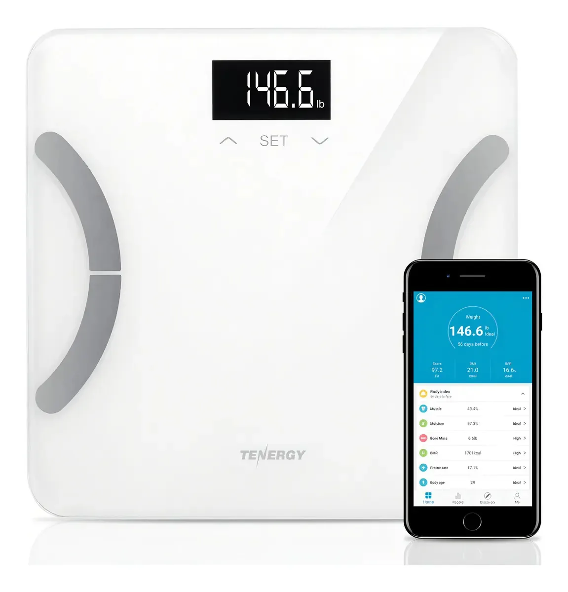Escala de gordura corporal Bluetooth Tenergy Vitalis