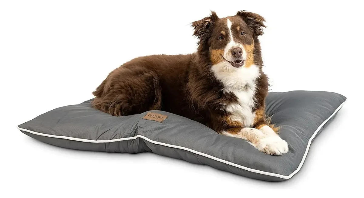 Cama extra grande para cães