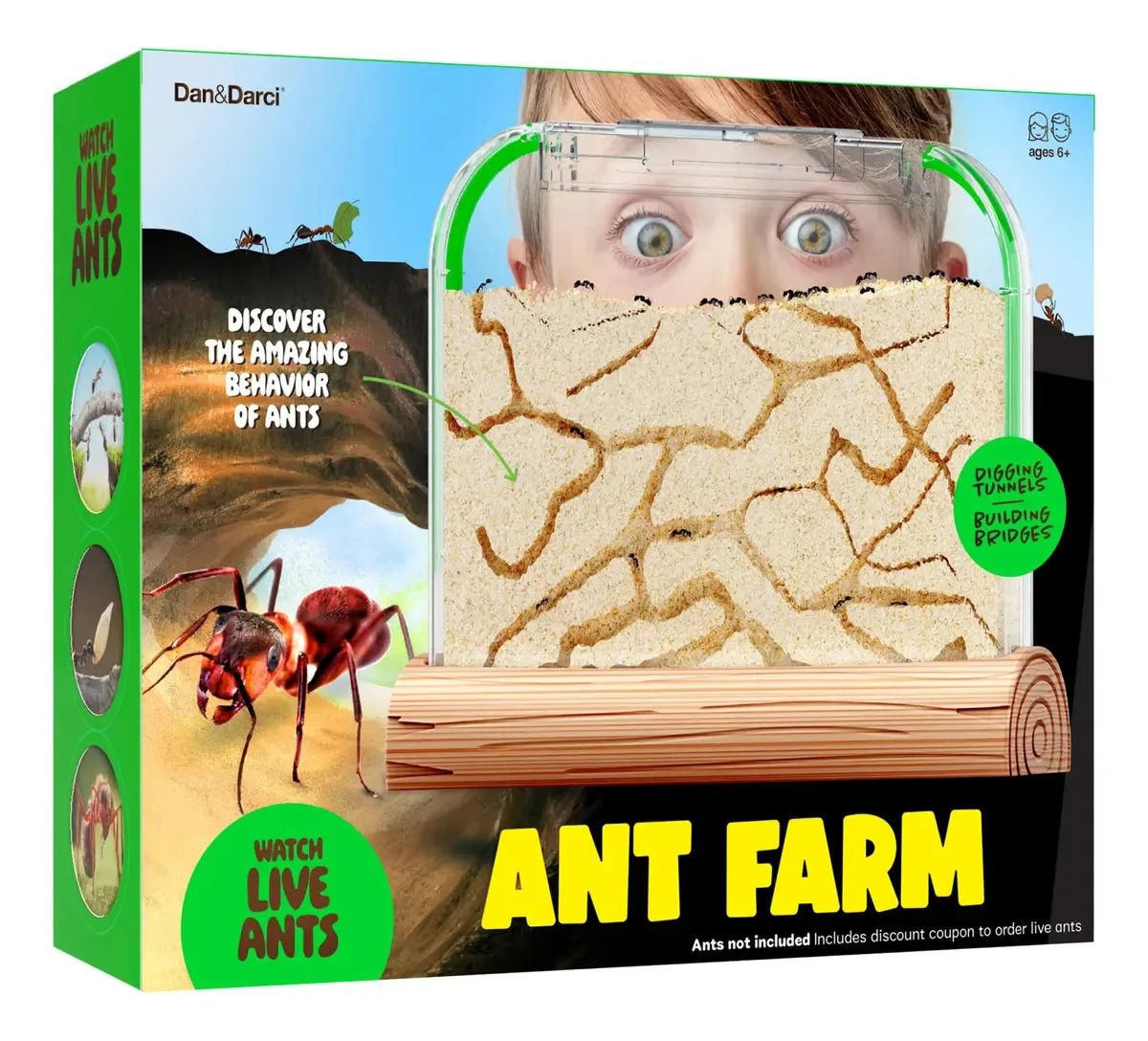 Kit Ant Farm para crianças, educacional