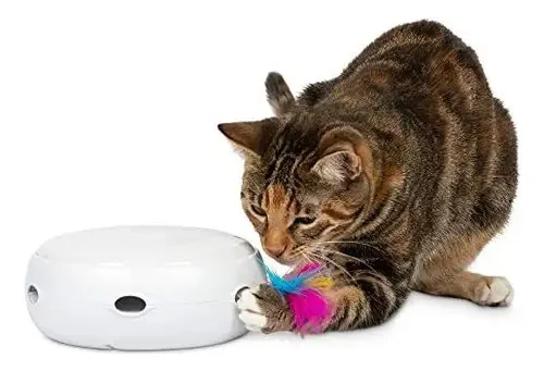 Brinquedos interativos Petfusion Ambush para gatos
