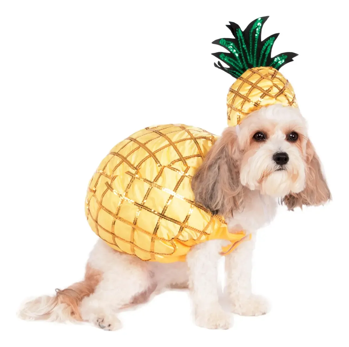 Pina Pet Costume Xl