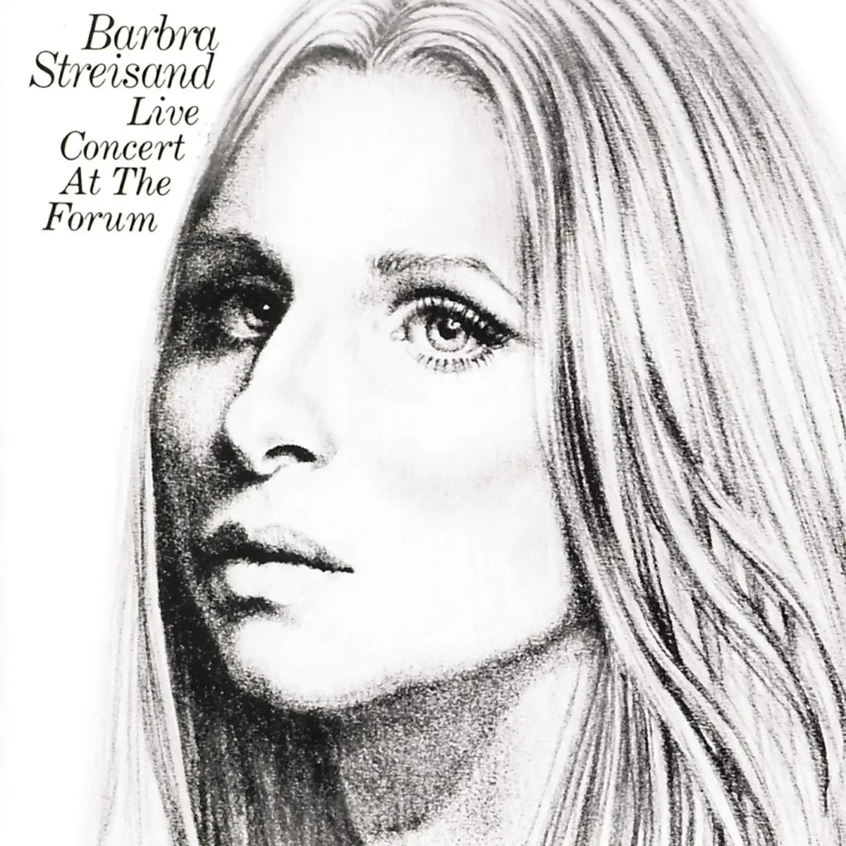 Concerto Ao Vivo No Forum