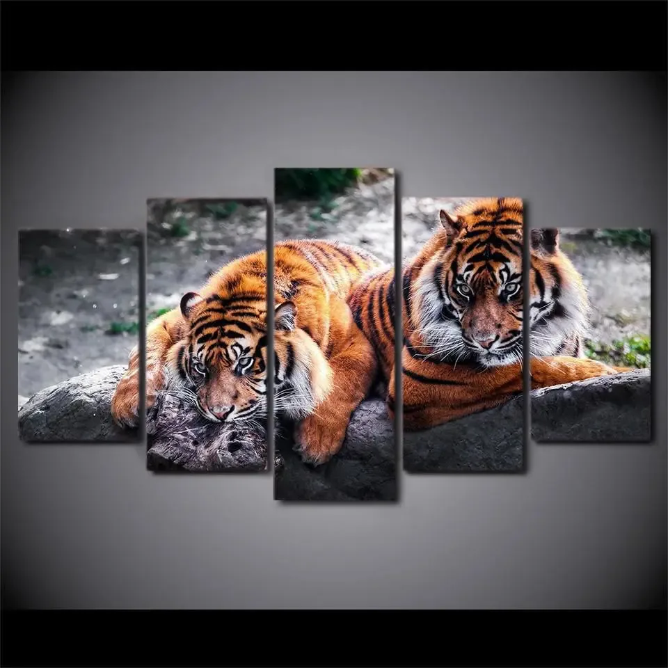 Quadros Decorativos 5 Tigres Paisagem Rocha Natureza