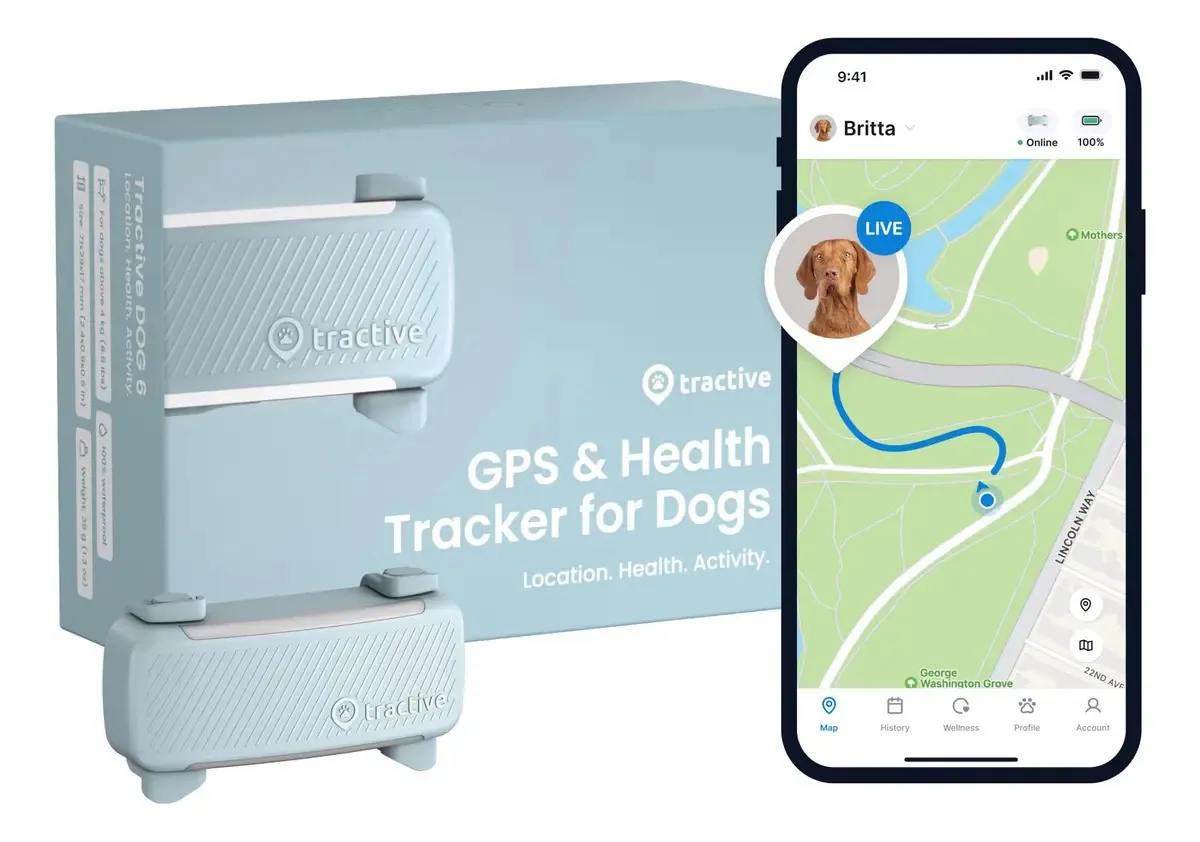 Localização em tempo real do lançamento do Gps Dog Tractive