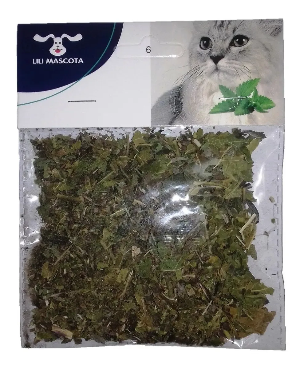Catnip para gatos