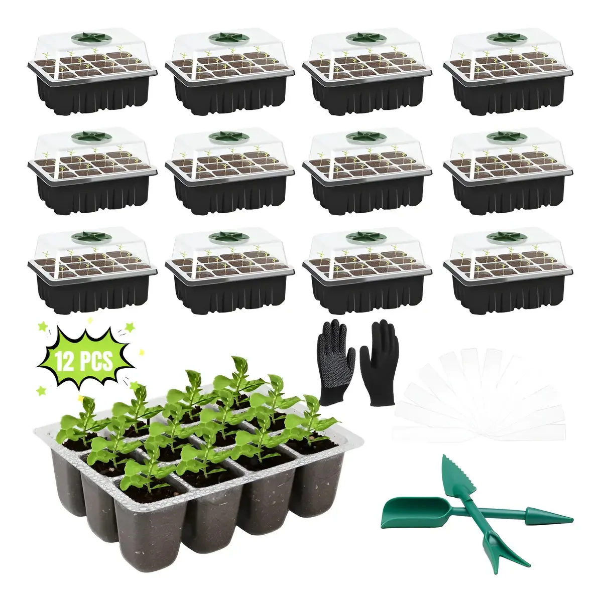 Bandejas germinadoras de 12 unidades, canteiro com etiquetas, luvas