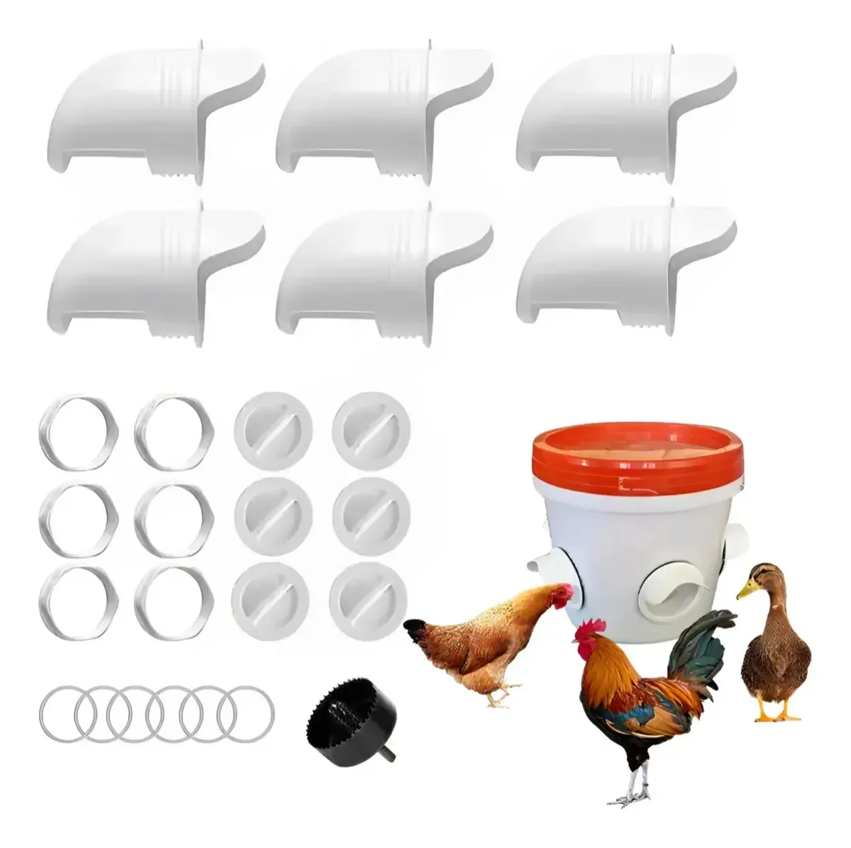 Alimentadores automáticos para galinhas, galos e codornas, 6 peças