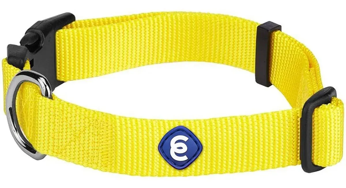 Coleiras de PE Blueberry Pet Essentials com mais de 20 cores clássicas