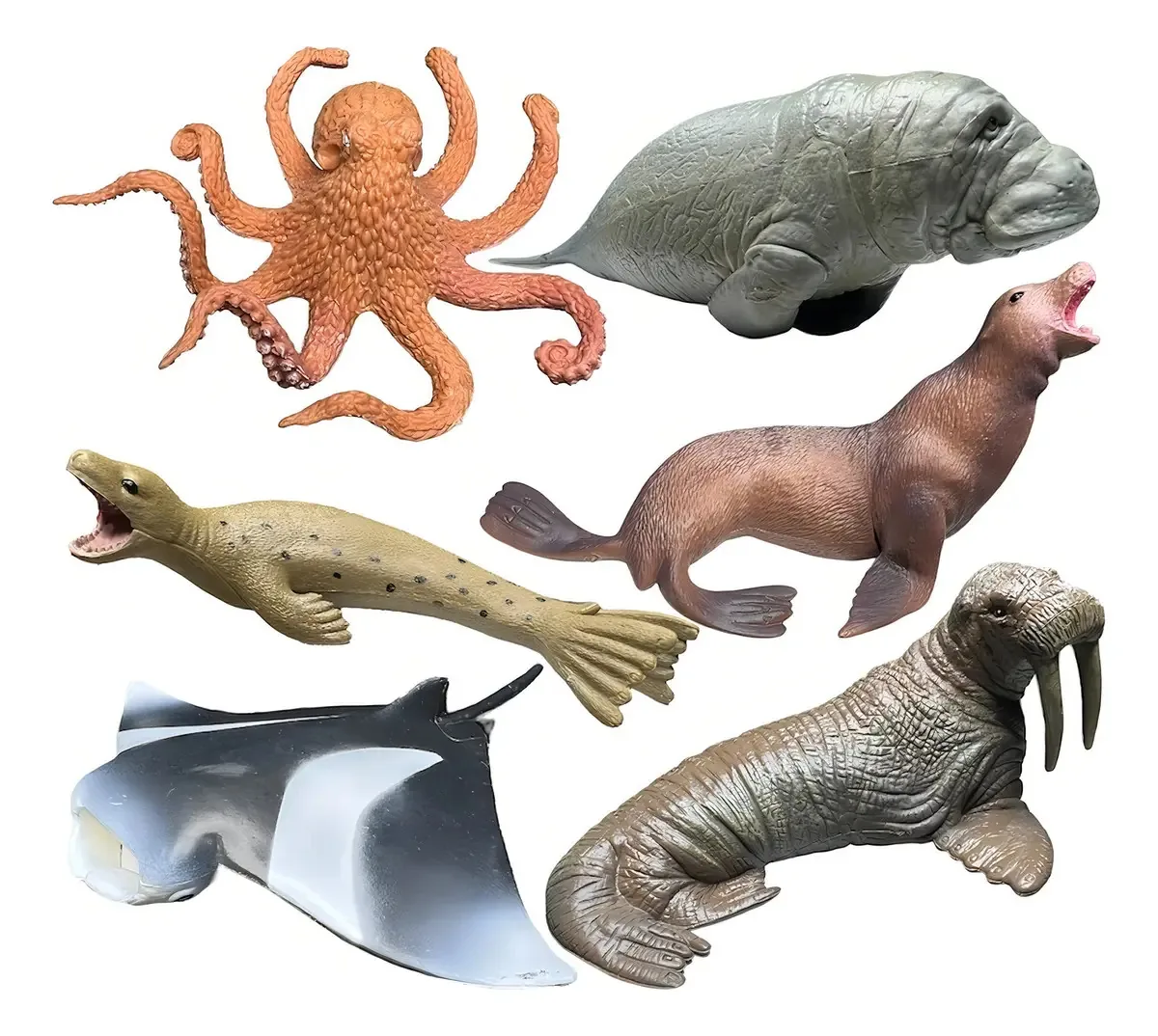 Figuras de animais marinhos de 6 peças