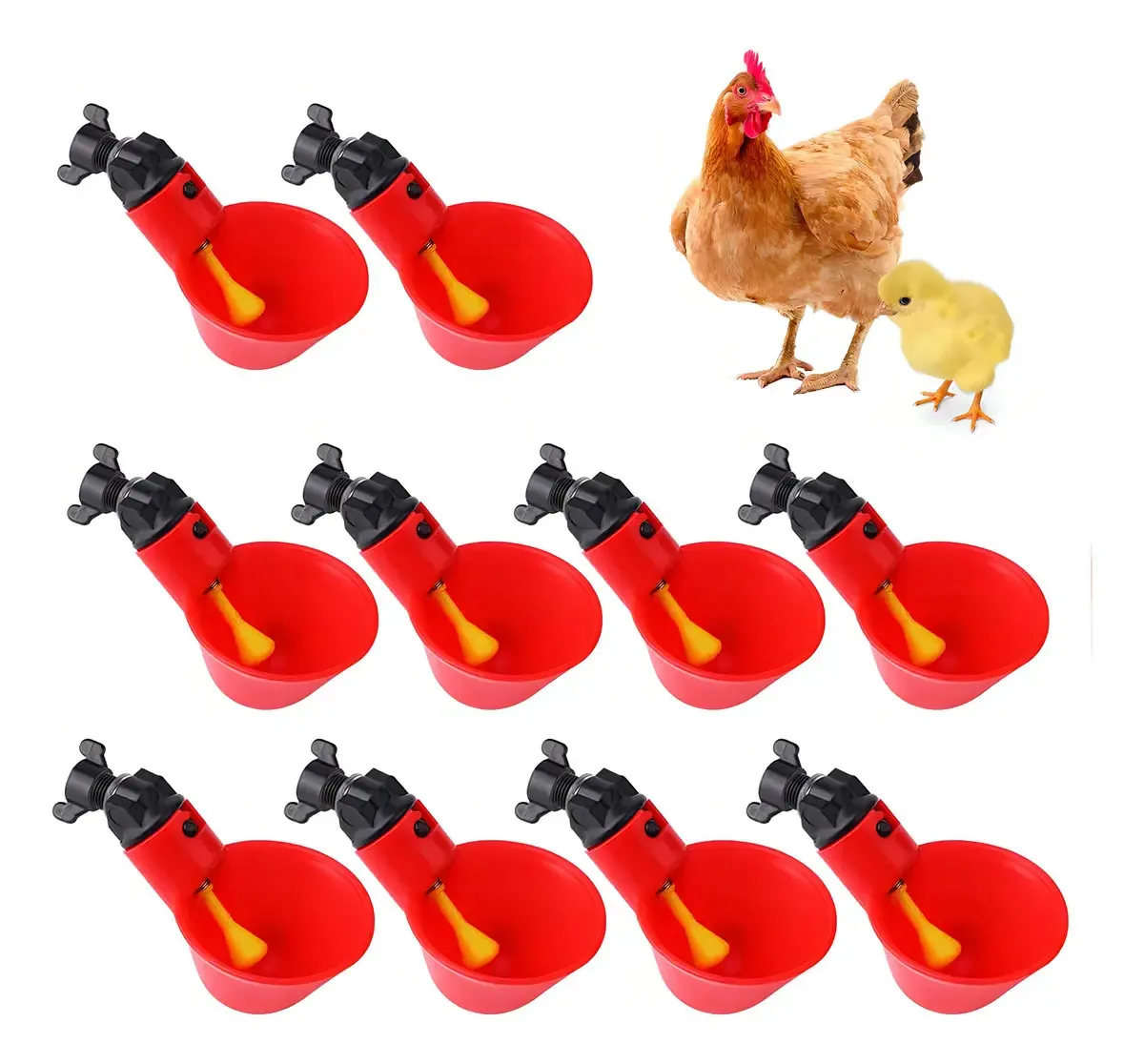 Bebedouro Automático iBoa Aves Galinhas Codornas 10 Unidades