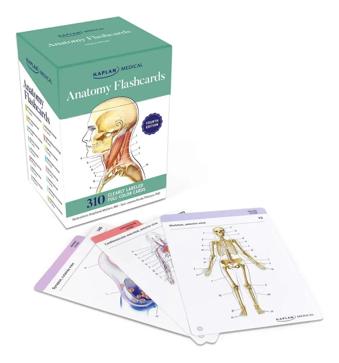 Flashcards de anatomia