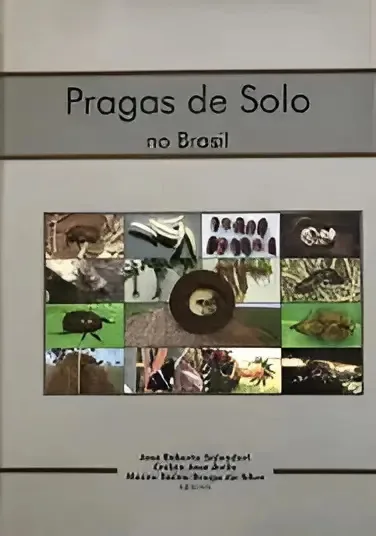 Pragas De Solo No Brasil