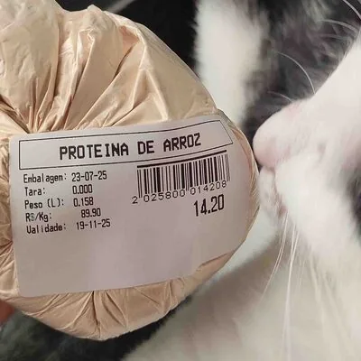 Proteína de arroz