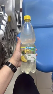 +mas PIÑA Agua con Jugo de Fruta Natural