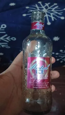 Mistral ICE