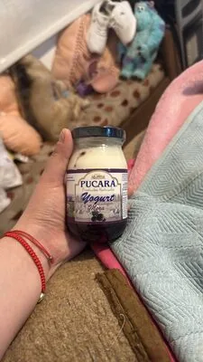 Yogurt Mora