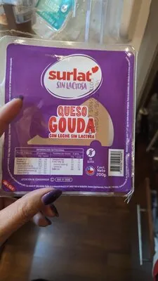 Queso Gouda con leche sin lactosa