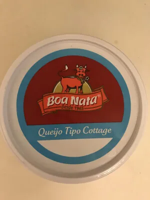 Queijo Cottage 250g Boa Nata