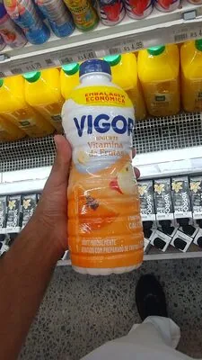 Iog Liq Vigor Vitamina 1,15kg