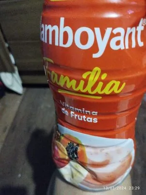 Iog Flamboyant Vit Frut 1,36kg