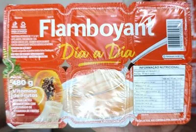 Iog Dia A Dia Vit Frutas Flamboyant 480g