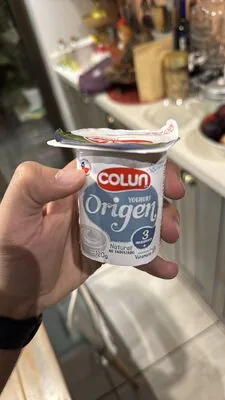Yoghurt Origen