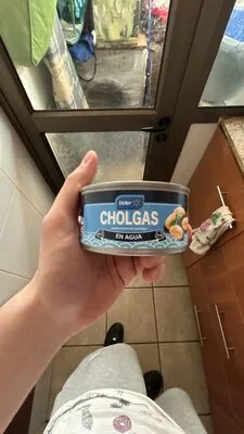 CHOLGAS