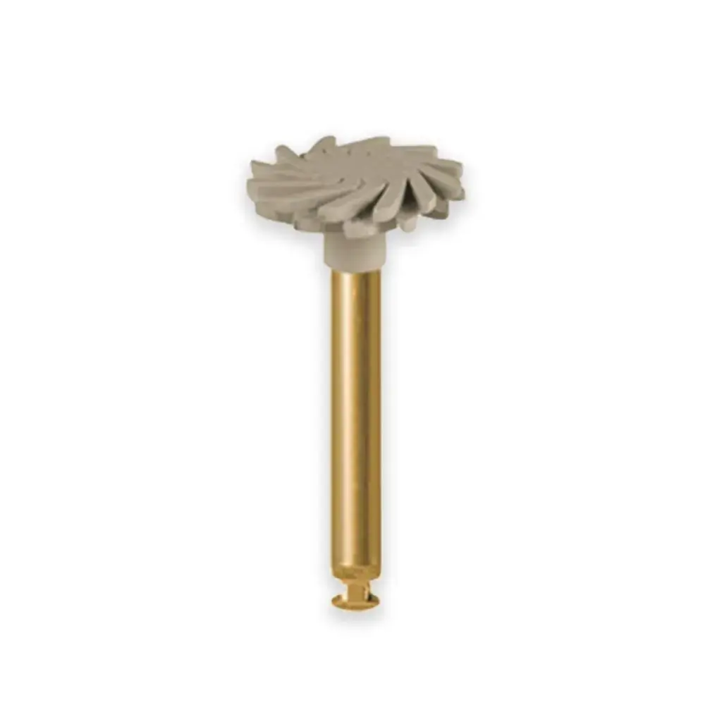 Eve CA Diacomp Twist Dt-Dcp10f - Odontomega