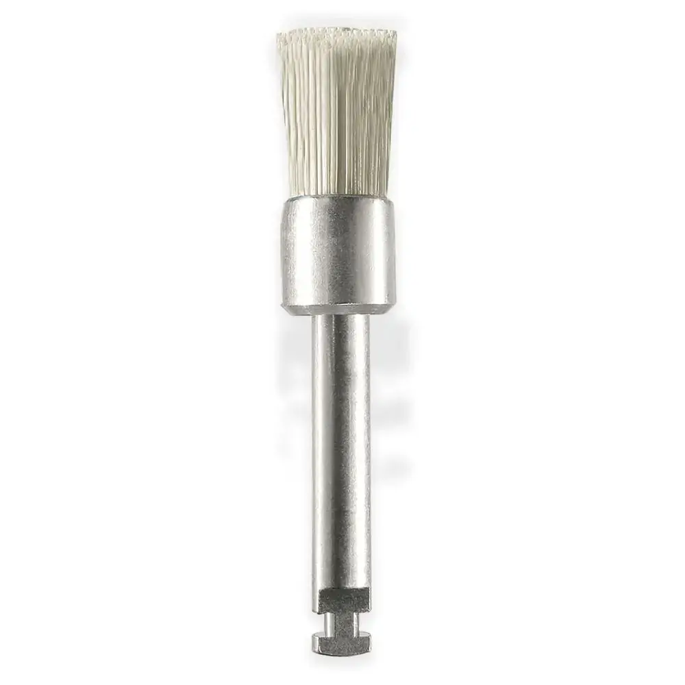 Eve CA Brush WZ1 - Odontomega