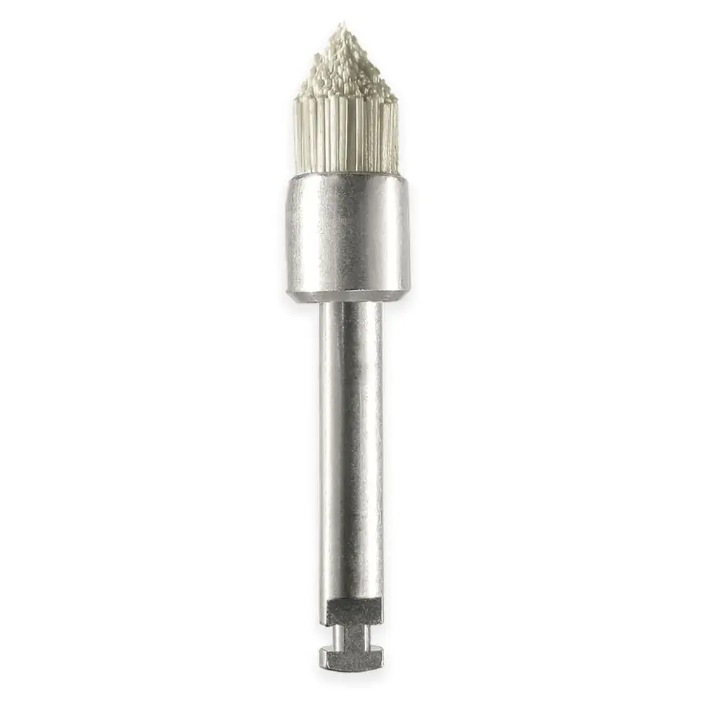 Eve CA Brush WS1 - Odontomega
