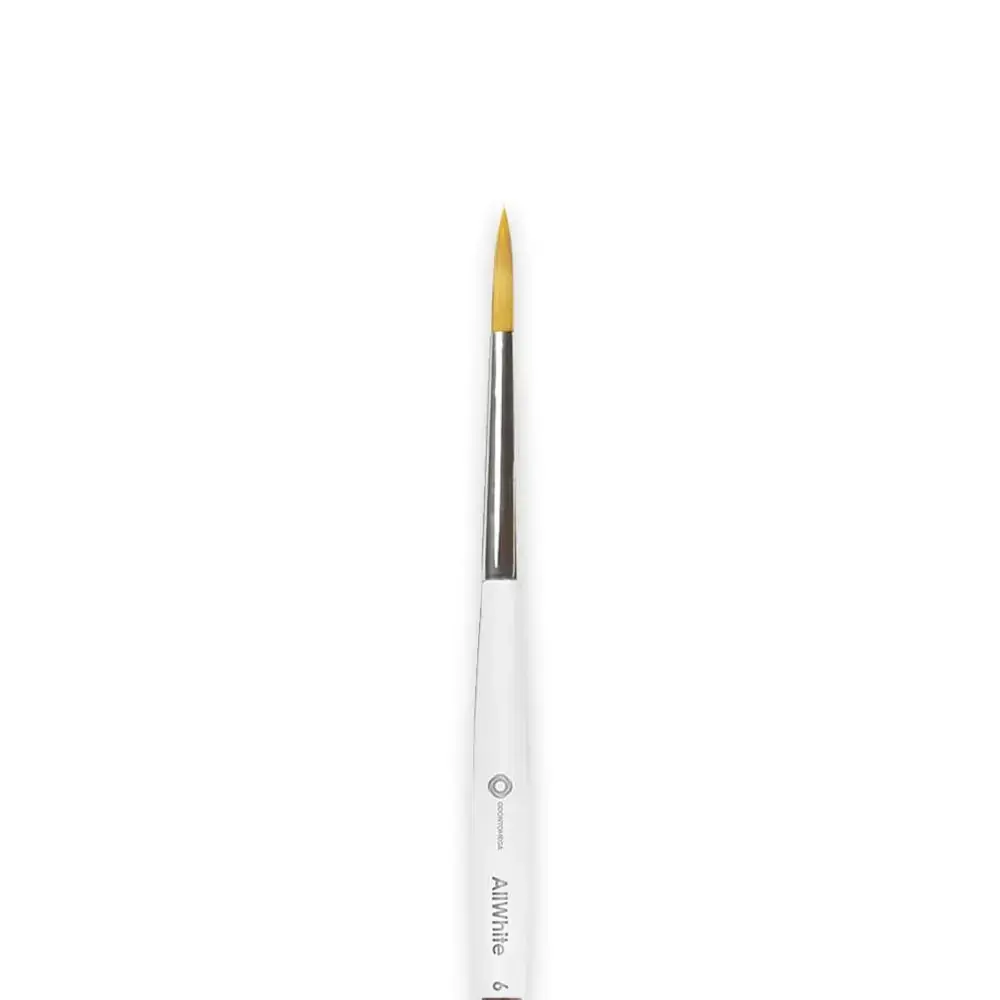 Pincel Allwhite 6 - Odontomega