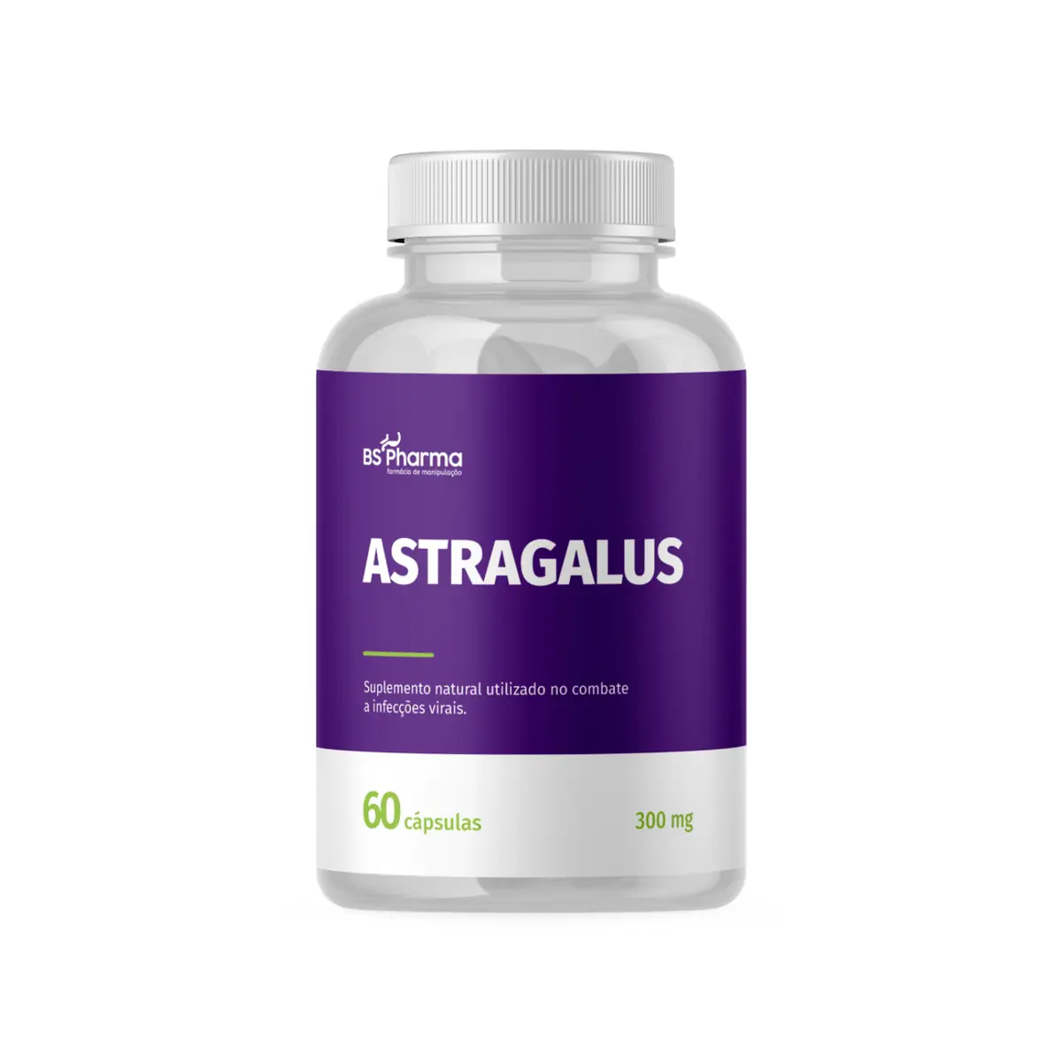 Astragalus - 300 mg - 60 Cápsulas